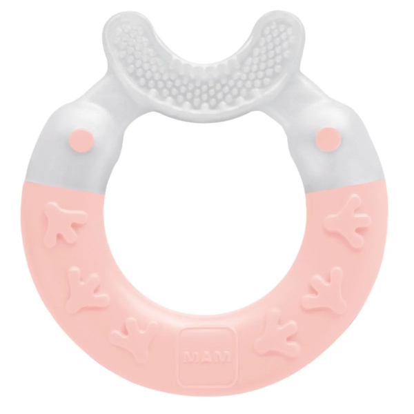 MAM Bite & Brush - Teether - Image 2